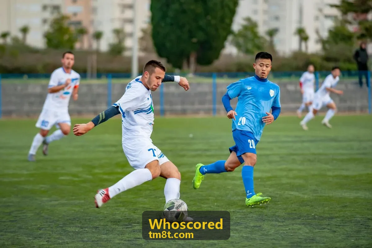 Whoscored 数据仪表盘可视化